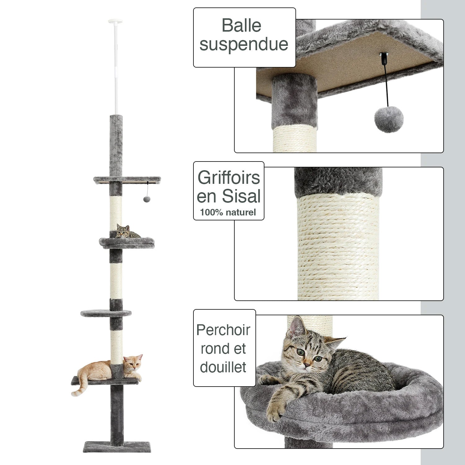 Arbre à chat Altura 274 cm